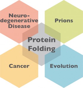 ProteinFolding